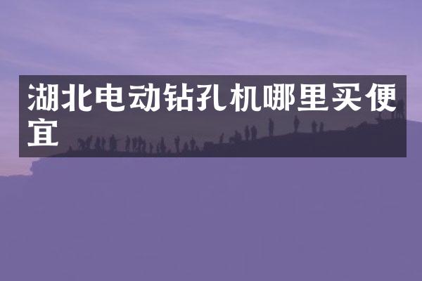 湖北电动钻孔机哪里买便宜