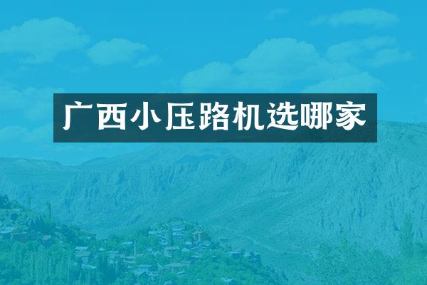 广西小压路机选哪家