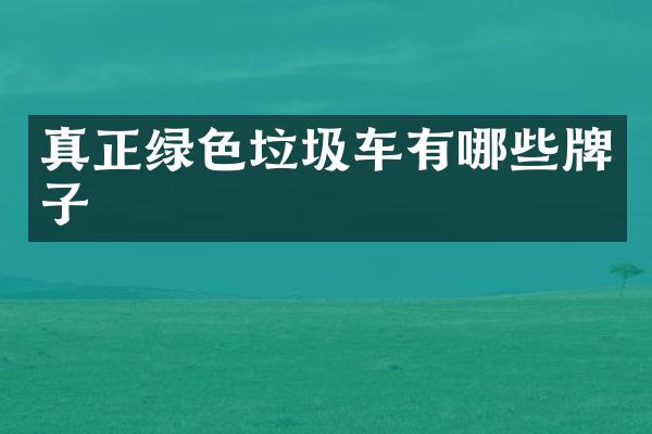 真正绿色垃圾车有哪些牌子