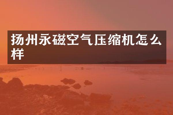 扬州永磁空气压缩机怎么样