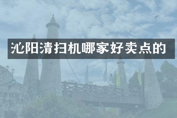 沁阳清扫机哪家好卖点的