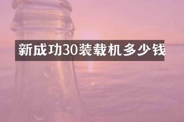 新成功30装载机多少钱