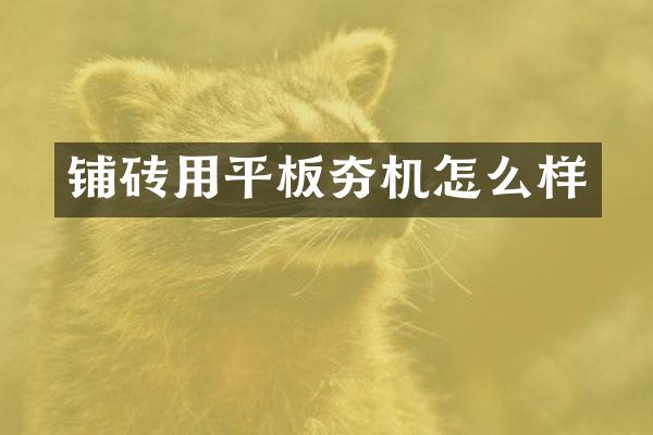 铺砖用平板夯机怎么样