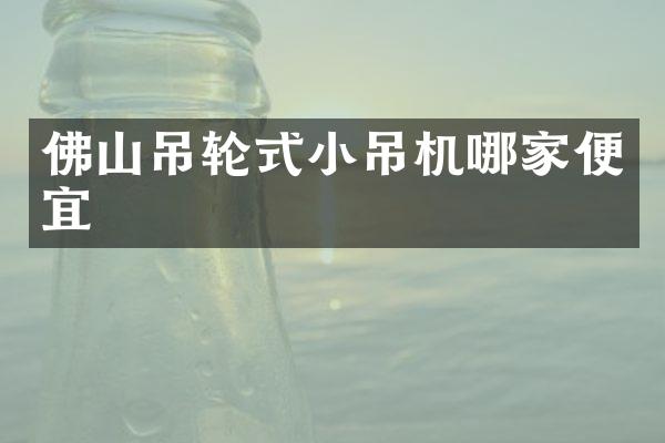 佛山吊轮式小吊机哪家便宜