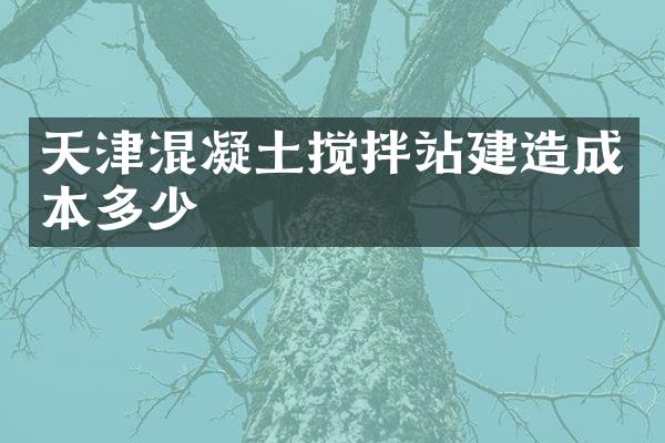 天津混凝土搅拌站建造成本多少