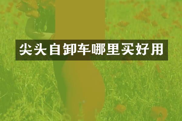 尖头自卸车哪里买好用