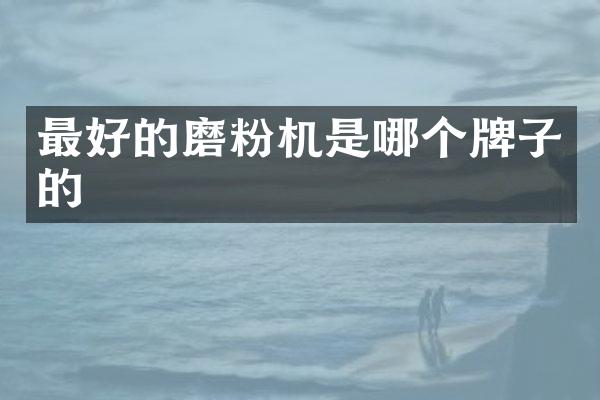 最好的磨粉机是哪个牌子的