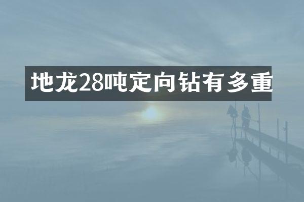 地龙28吨定向钻有多重