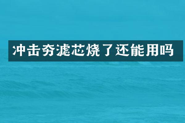 冲击夯滤芯烧了还能用吗