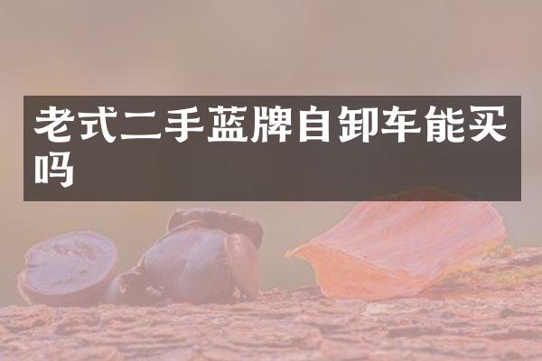 老式二手蓝牌自卸车能买吗