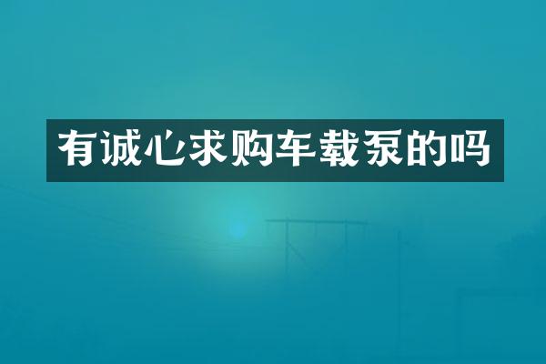 有诚心求购车载泵的吗