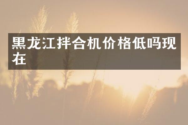 黑龙江拌合机价格低吗现在