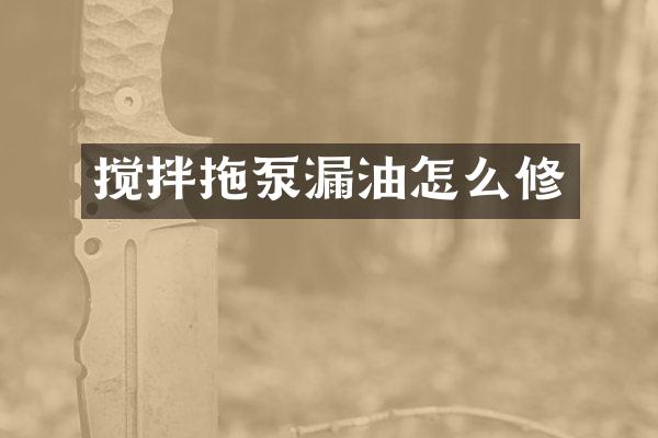 搅拌拖泵漏油怎么修