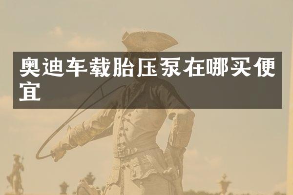 奥迪车载胎压泵在哪买便宜