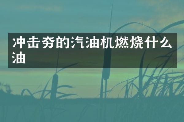 冲击夯的汽油机燃烧什么油