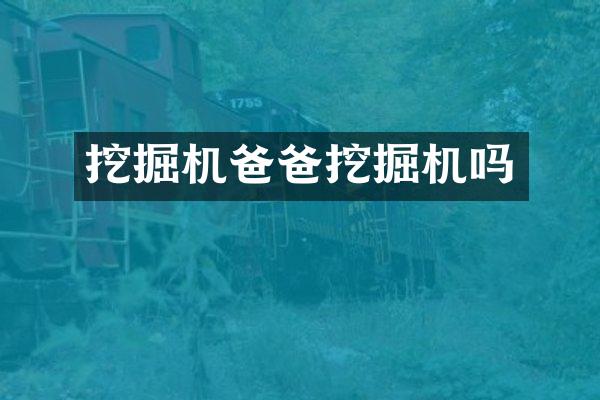 挖掘机爸爸挖掘机吗