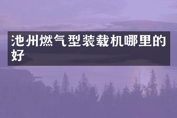 池州燃气型装载机哪里的好