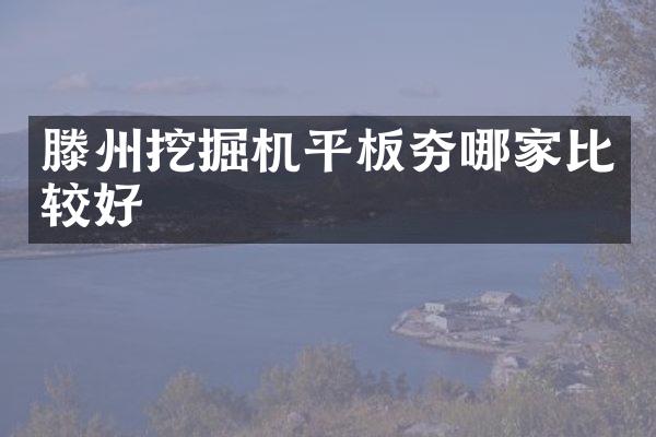滕州挖掘机平板夯哪家比较好