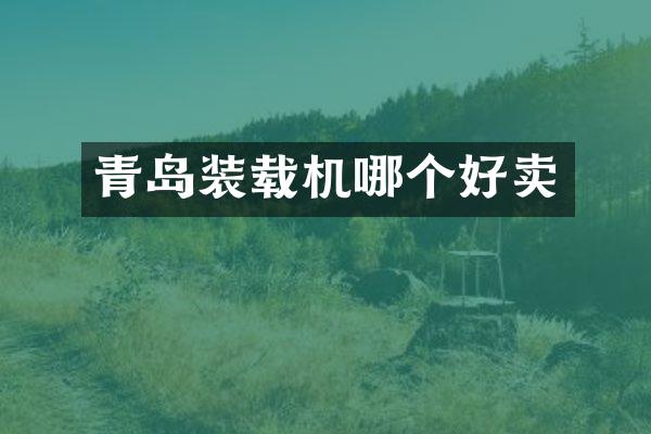 青岛装载机哪个好卖