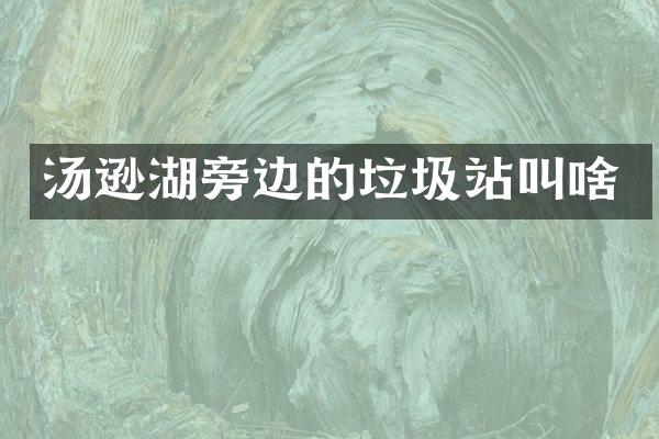 汤逊湖旁边的垃圾站叫啥