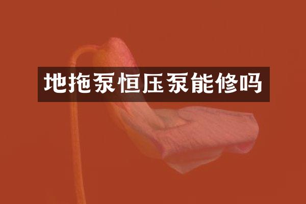 地拖泵恒压泵能修吗