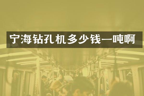宁海钻孔机多少钱一吨啊