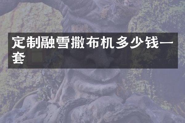 定制融雪撒布机多少钱一套