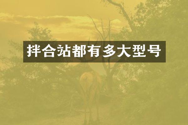 拌合站都有多大型号