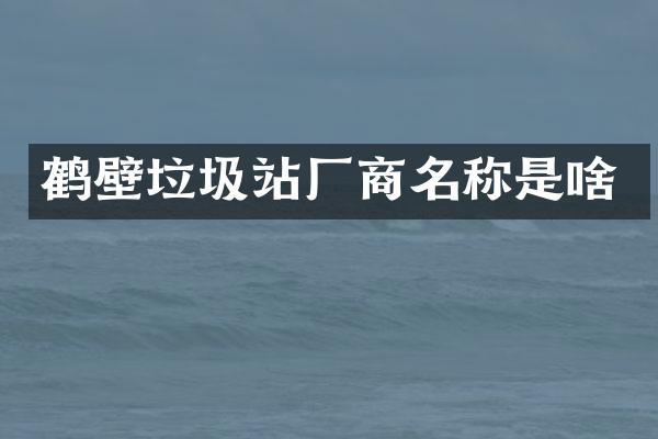 鹤壁垃圾站厂商名称是啥