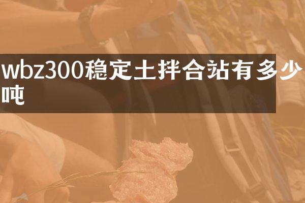 wbz300稳定土拌合站有多少吨