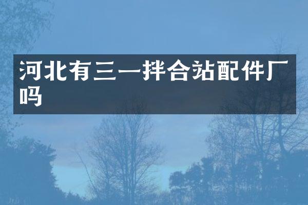 河北有三一拌合站配件厂吗