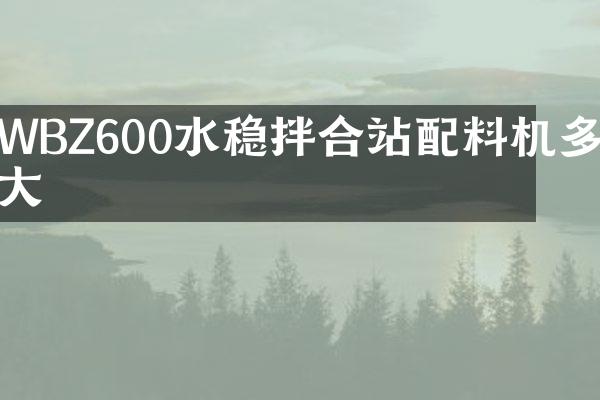 WBZ600水稳拌合站配料机多大