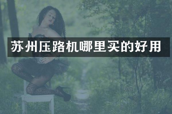 苏州压路机哪里买的好用