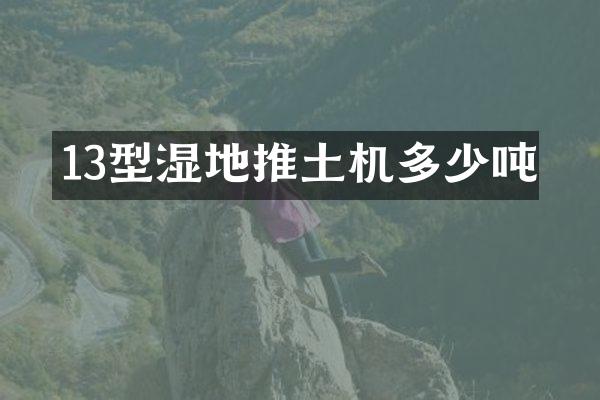 13型湿地推土机多少吨
