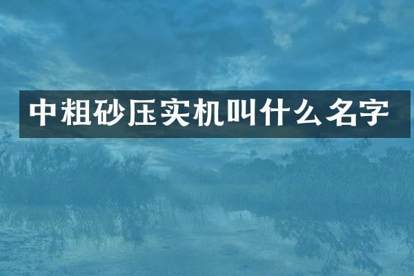 中粗砂压实机叫什么名字