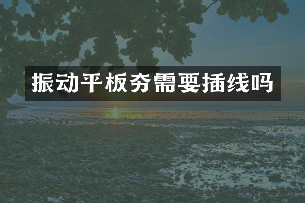 振动平板夯需要插线吗