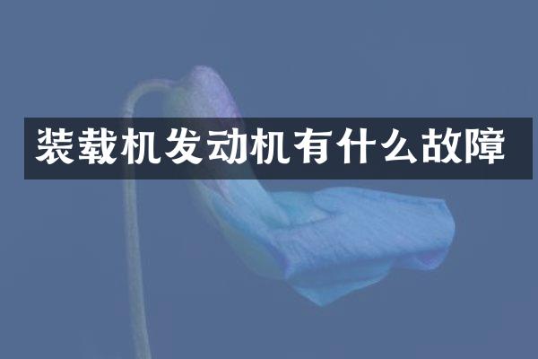 装载机发动机有什么故障