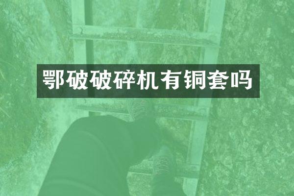 鄂破破碎机有铜套吗