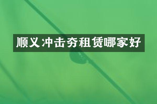 顺义冲击夯租赁哪家好
