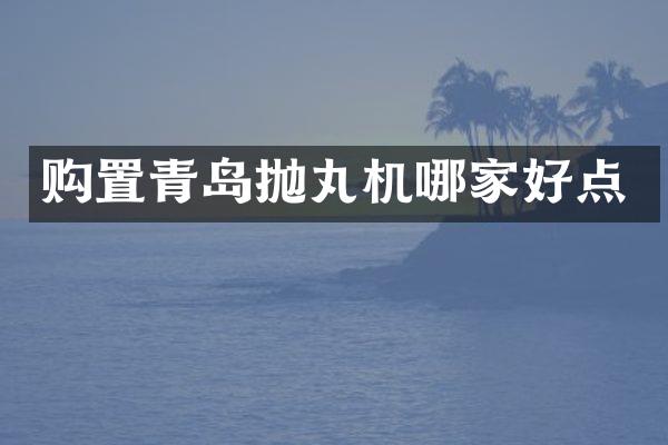购置青岛抛丸机哪家好点