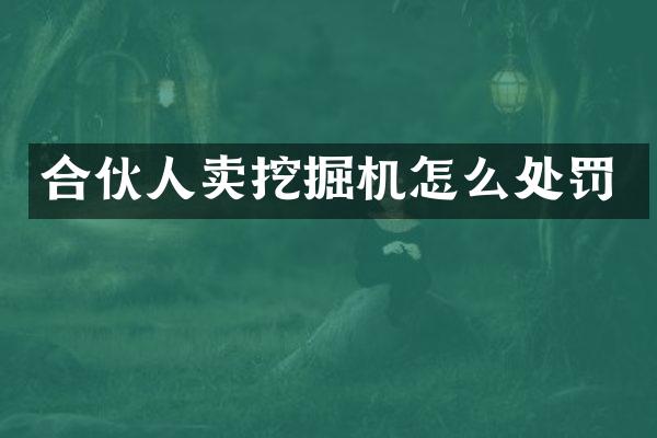 合伙人卖挖掘机怎么处罚