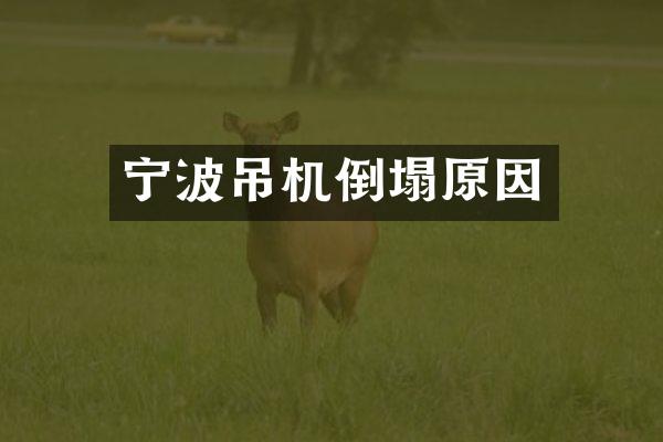 宁波吊机倒塌原因