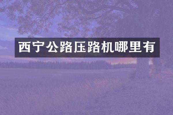 西宁公路压路机哪里有