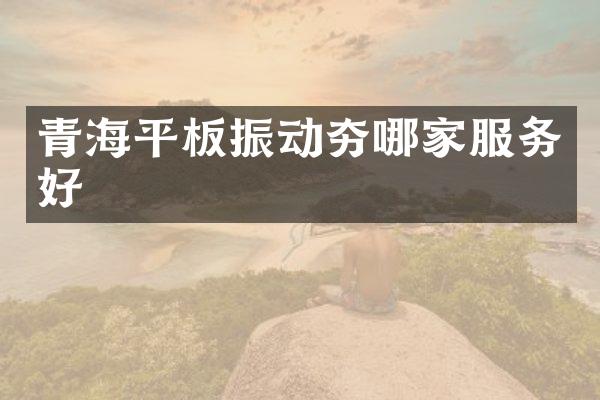 青海平板振动夯哪家服务好