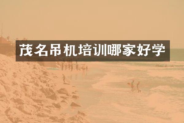 茂名吊机培训哪家好学