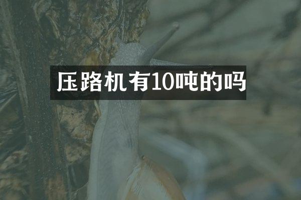 压路机有10吨的吗