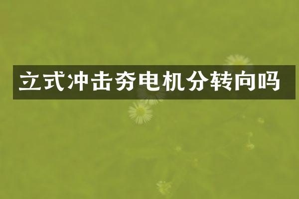 立式冲击夯电机分转向吗