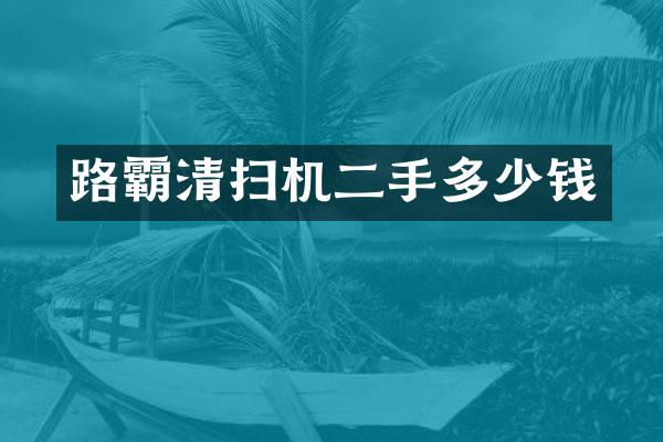 路霸清扫机二手多少钱