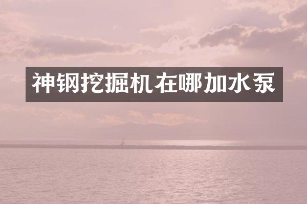 神钢挖掘机在哪加水泵