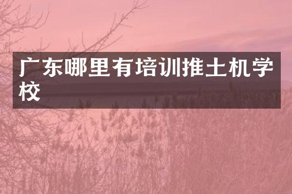 广东哪里有培训推土机学校